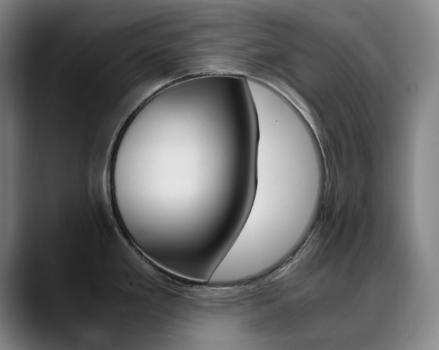 X0000090491293200707130923