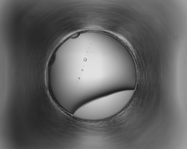 X0000090491295200707130923