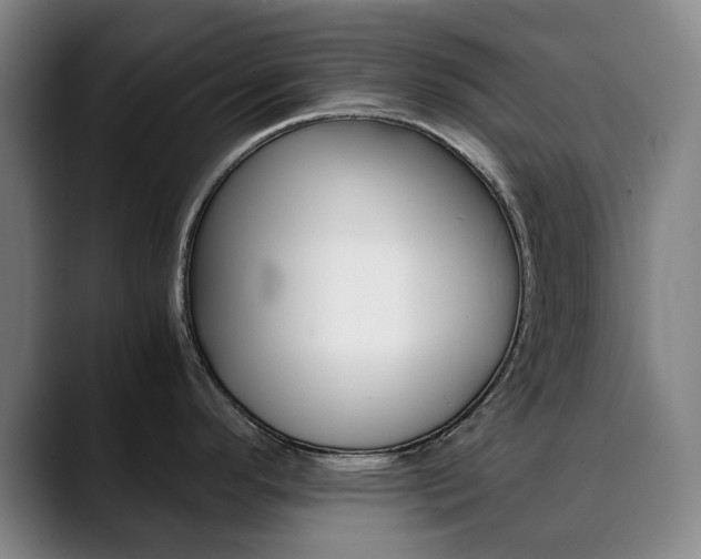 X0000090491296200707130923