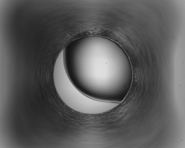 X0000090491298200707130923