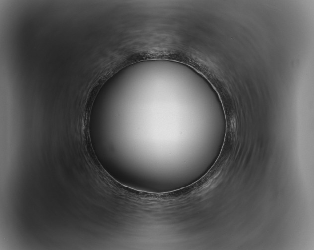 X0000090491300200707130923