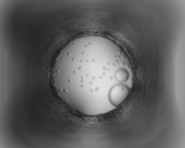 X0000090491302200707130923