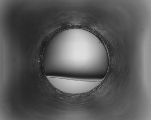 X0000090491303200707130923