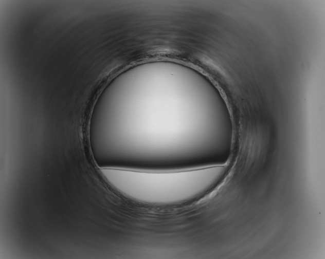 X0000090491305200707130923