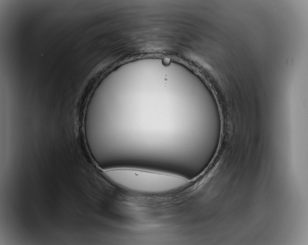 X0000090491306200707130923