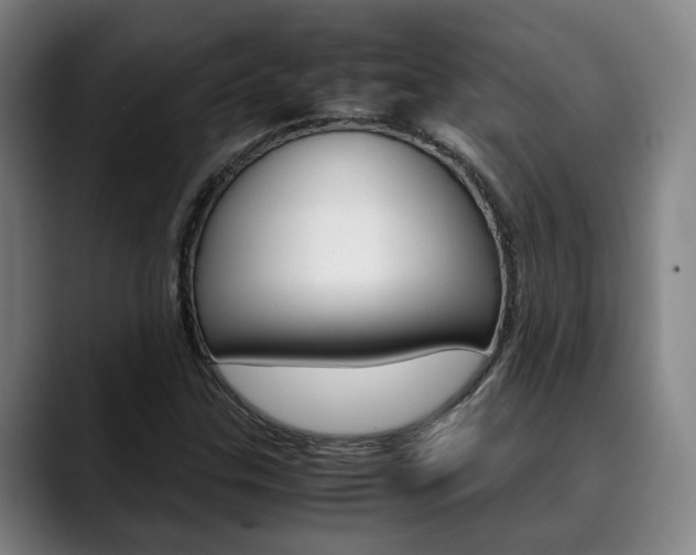 X0000090491307200707130923