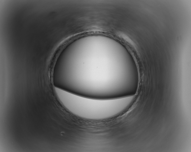X0000090491310200707130923