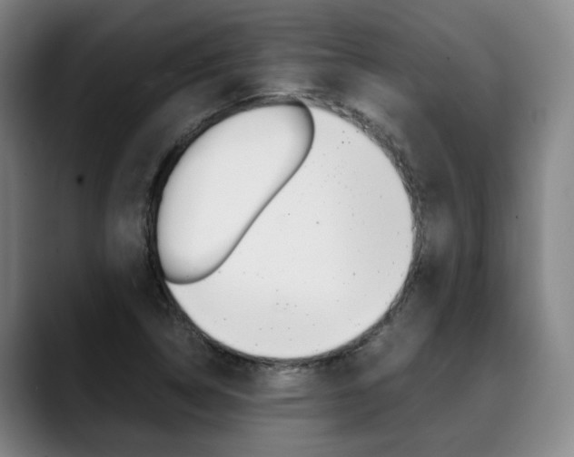 X0000090491314200707130923