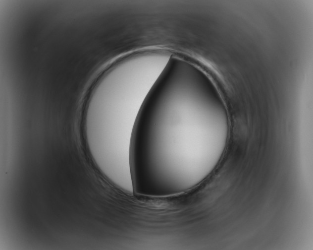 X0000090491319200707130923