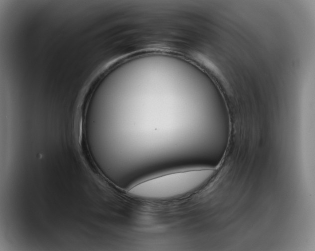 X0000090491323200707130923