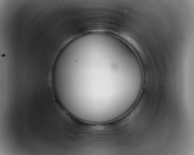 X0000090491329200707130923