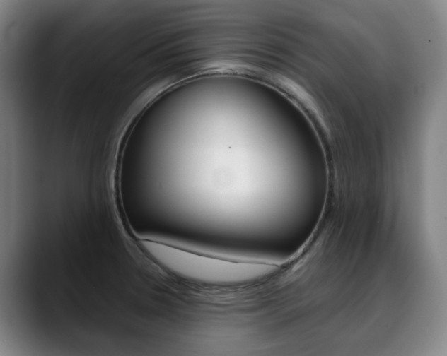X0000090491330200707130923