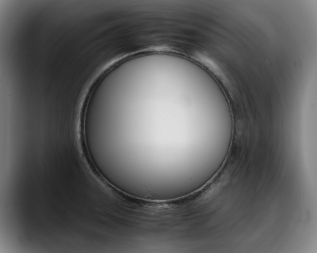 X0000090491331200707130923