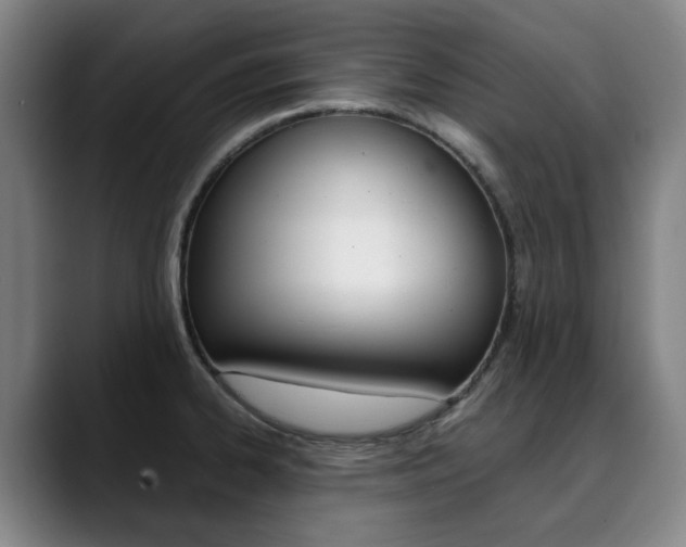 X0000090491334200707130923
