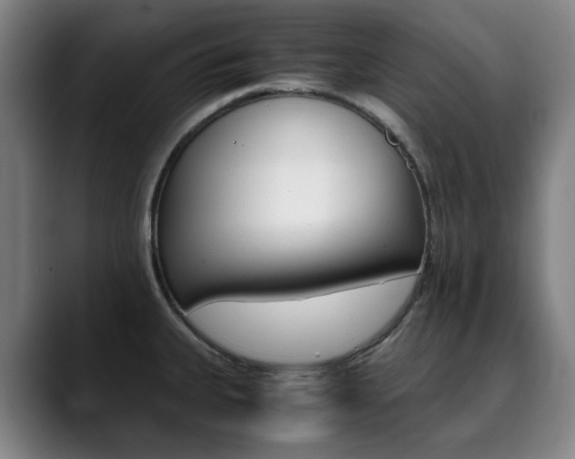 X0000090491335200707130923