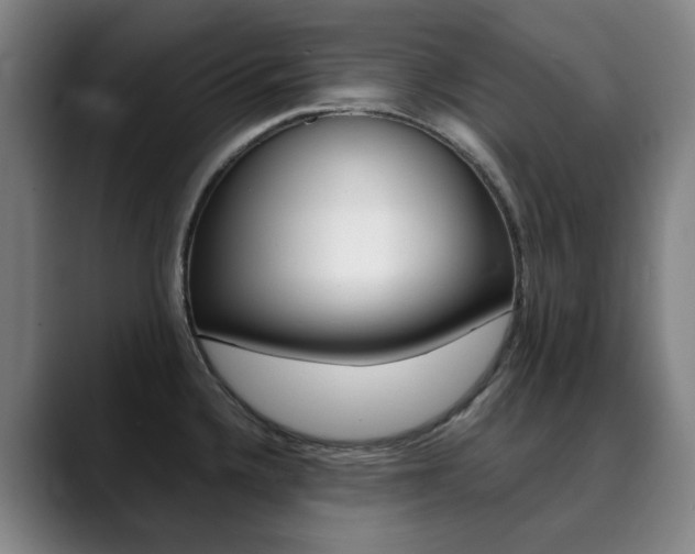 X0000090491336200707130923
