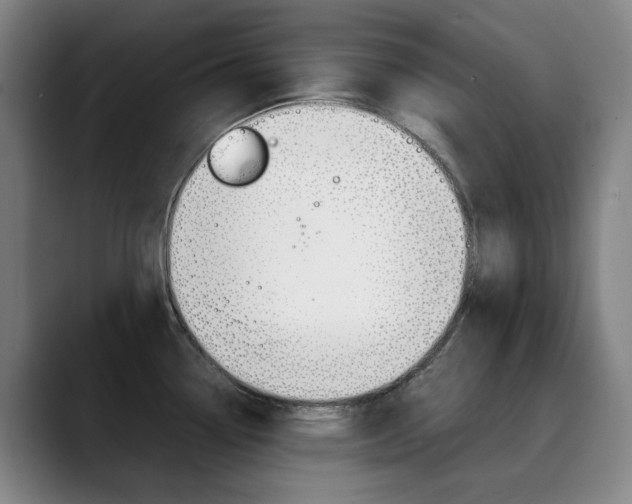X0000090491338200707130923