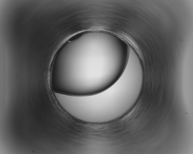 X0000090491340200707130923