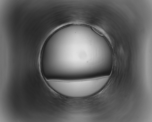 X0000090491343200707130923