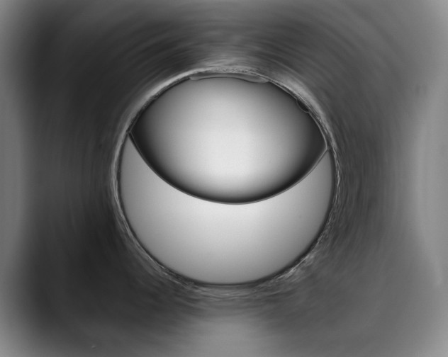X0000090491344200707130923