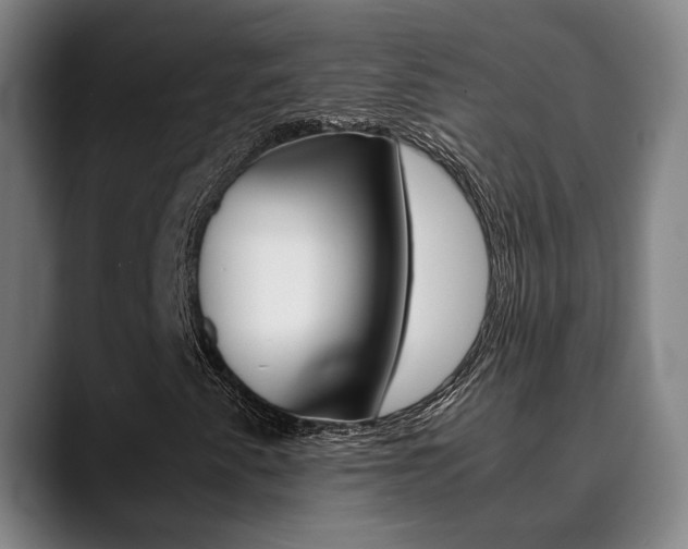 X0000090491345200707130923