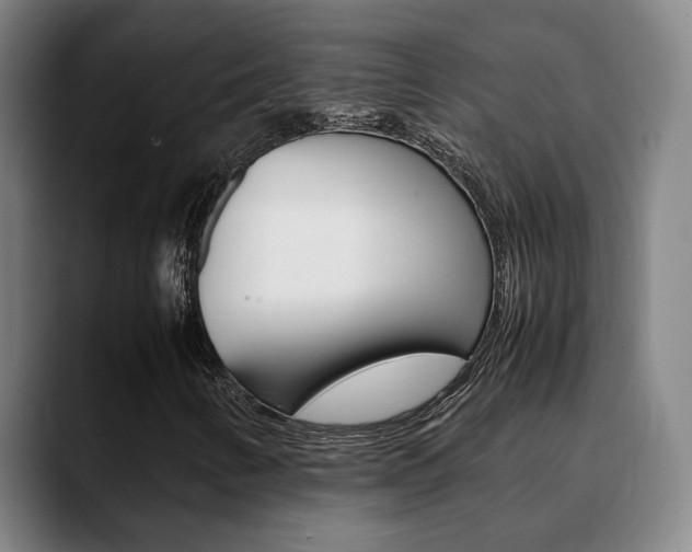 X0000090491346200707130923