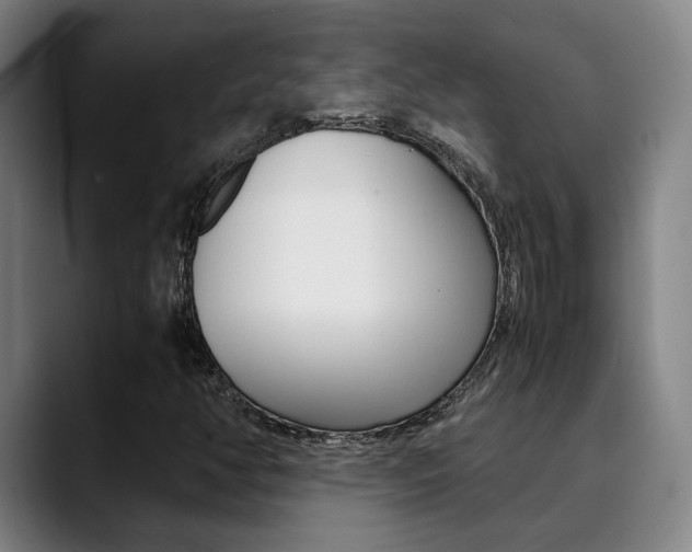 X0000090491350200707130923