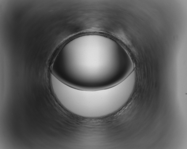 X0000090491356200707130922