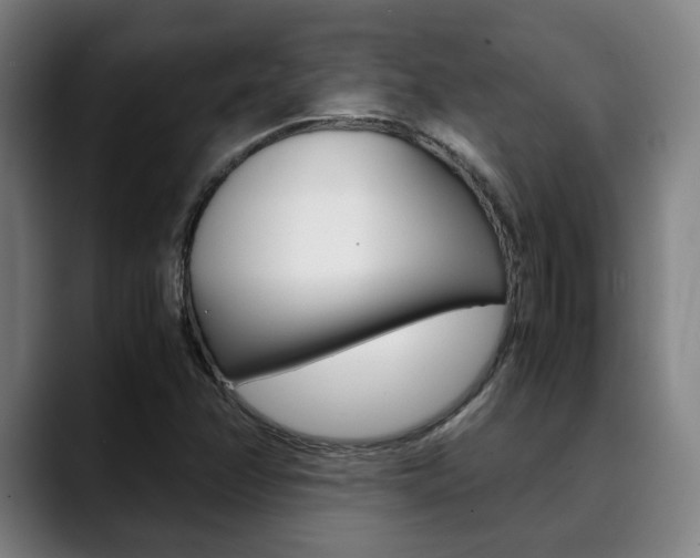 X0000090491358200707130922