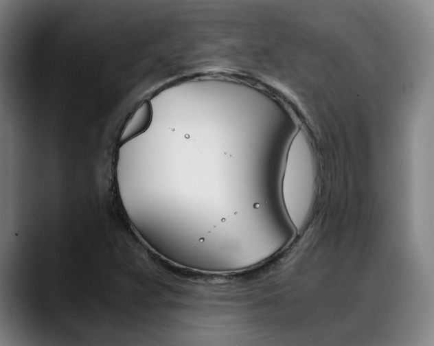 X0000090491359200707130922