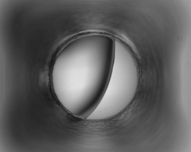 X0000090491360200707130922
