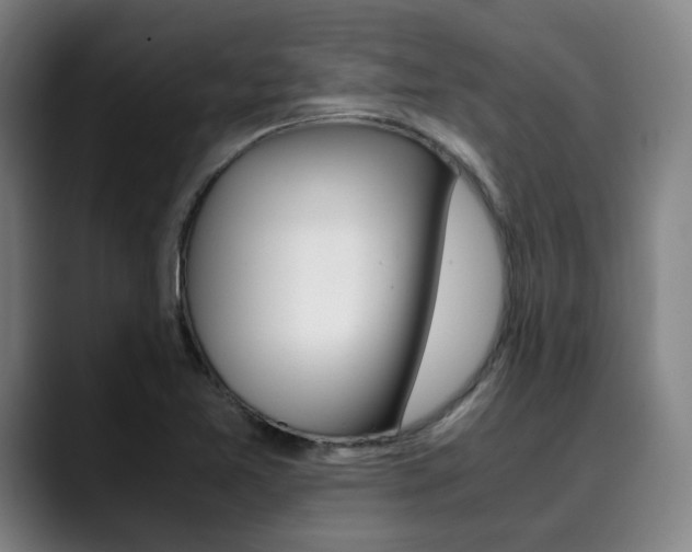 X0000090491365200707130922