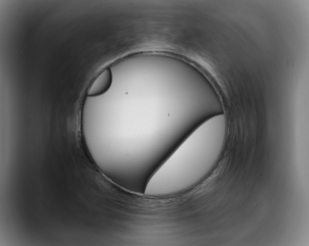 X0000090491366200707130922