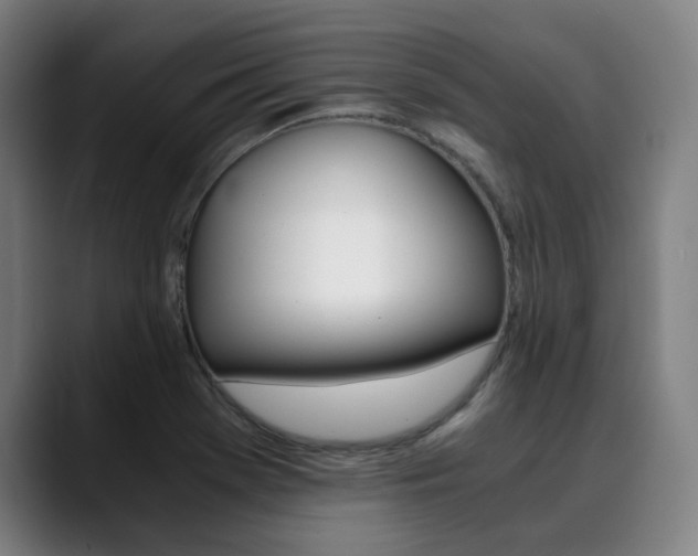 X0000090491369200707130922