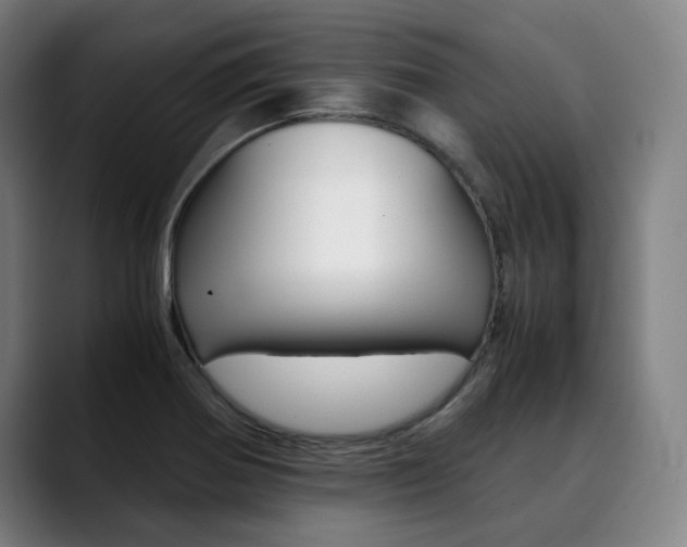 X0000090491370200707130922