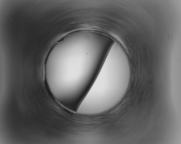 X0000090491371200707130922