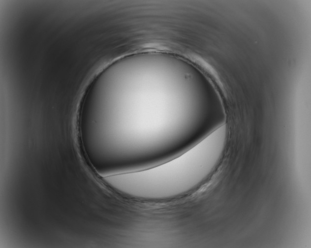 X0000090491373200707130922