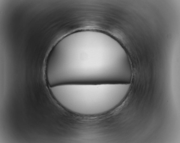 X0000090491374200707130922
