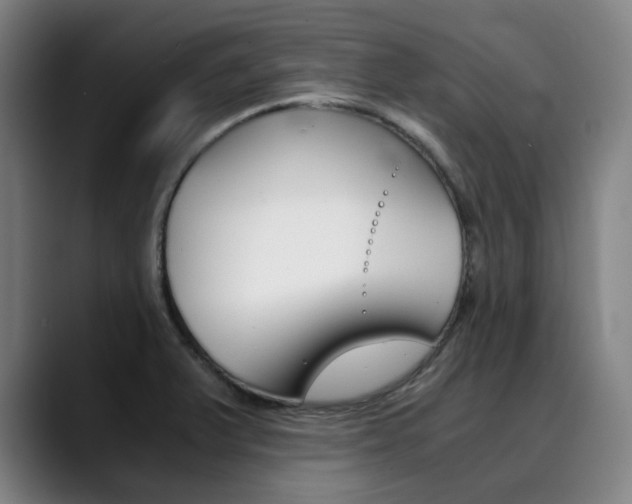 X0000090491375200707130922
