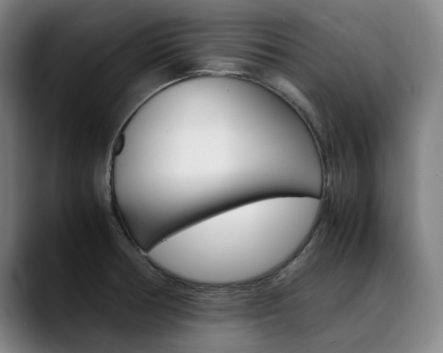 X0000090491378200707130922