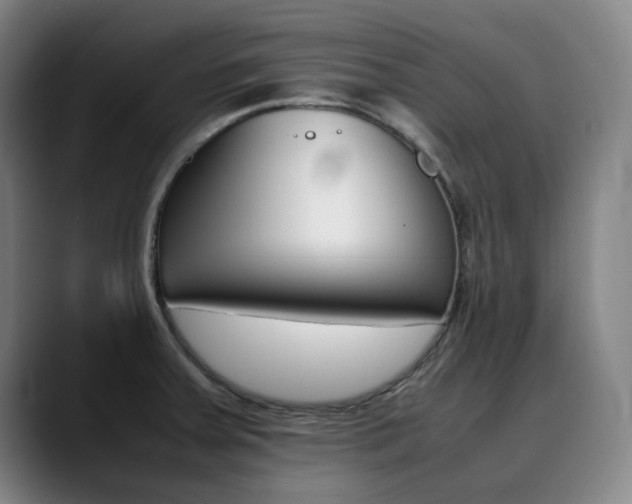 X0000090491379200707130922