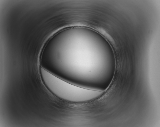 X0000090491380200707130922