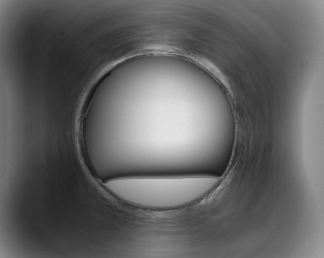 X0000090491381200707130922