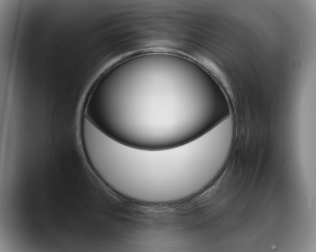X0000090491384200707130922