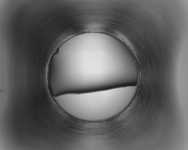 X0000090491386200707130922