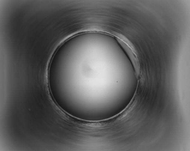 X0000090491388200707130922