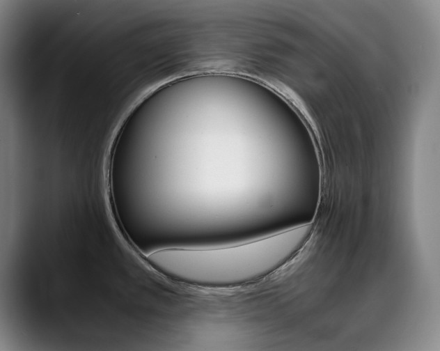 X0000090491389200707130922