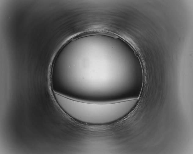 X0000090491392200707130922