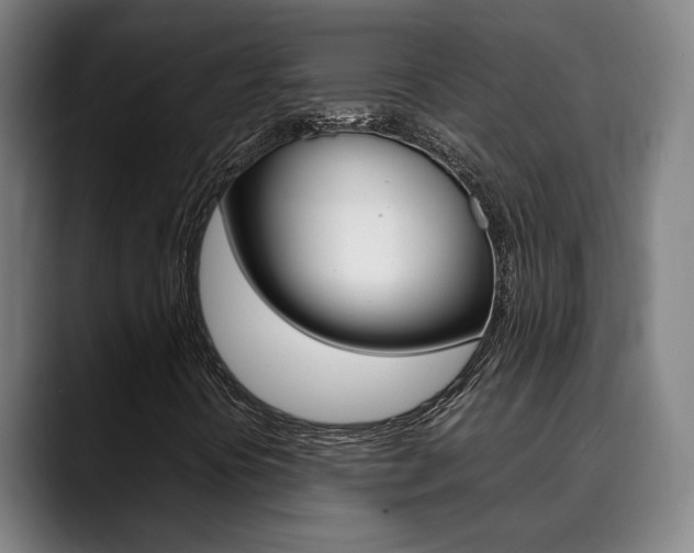 X0000090491394200707130922