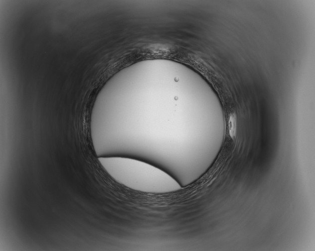 X0000090491395200707130922